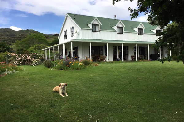 Jacaranda Lodge - Farmstay in the Coromandel - Dog