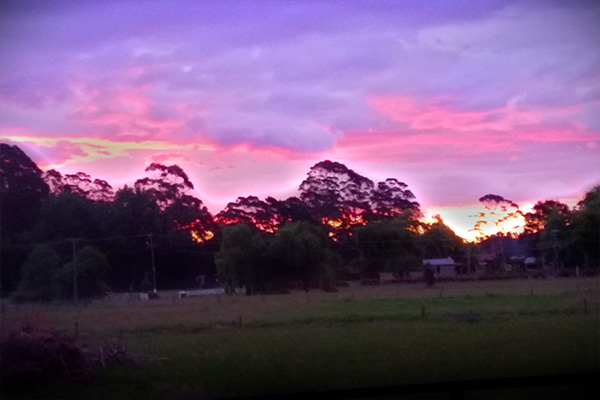 Jacaranda Lodge - Sunset